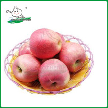 QINGUAN яблоко / свежие Qinguan Apple 9 кг